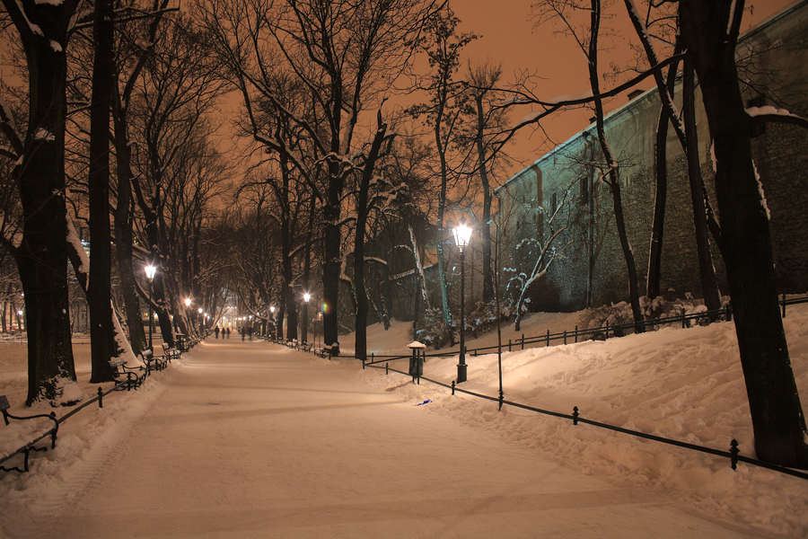 spis.php?category_id=417