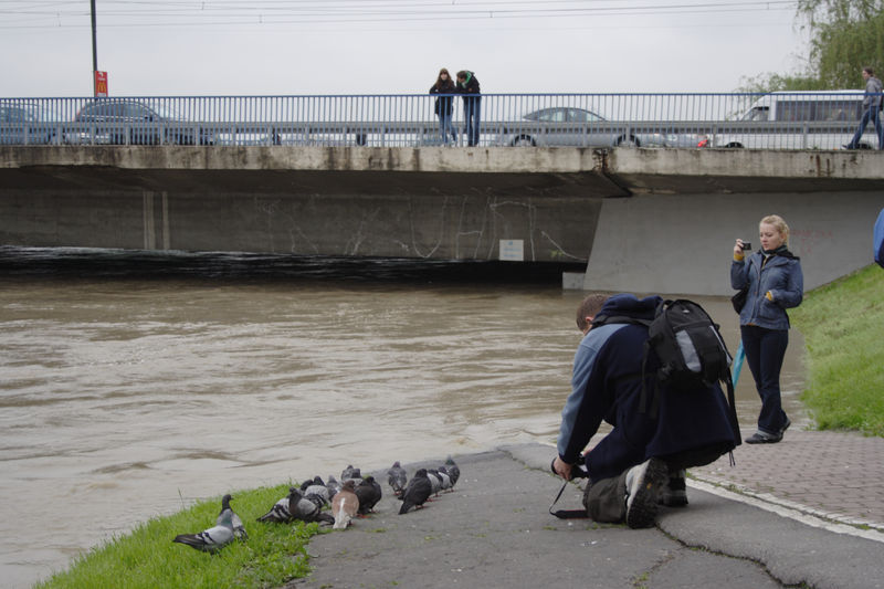 spis.php?category_id=432